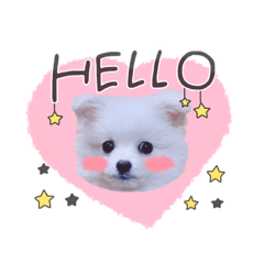 [LINEスタンプ] りおくんのひと言 