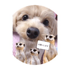 [LINEスタンプ] 友蔵 