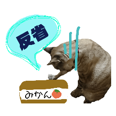 [LINEスタンプ] ふくもも（ふぅた）、猫（りん）仕事編