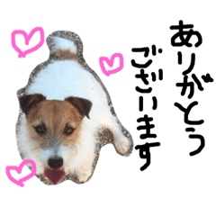 [LINEスタンプ] ちゃおのすたんぷ 