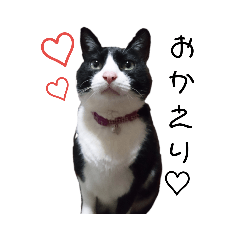 [LINEスタンプ] にんにんと仲間たち