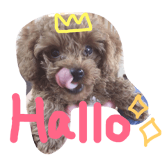 [LINEスタンプ] Tiara☆ fetchpriority=high