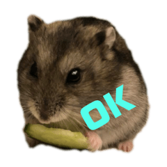 [LINEスタンプ] ハムスターのチップくん