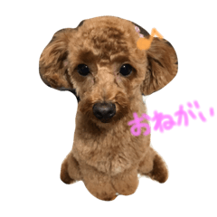 [LINEスタンプ] 第三弾 かわいい愉快な仲間たち