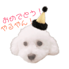 [LINEスタンプ] ぽっぷ
