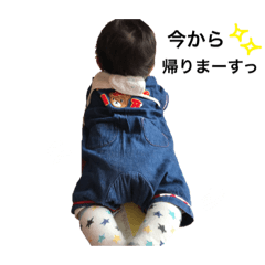 [LINEスタンプ] とらちゃんスタンプ③ 