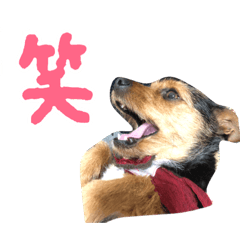 [LINEスタンプ] のんびりレゴくん