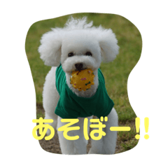 [LINEスタンプ] 我が家のかきのたね 