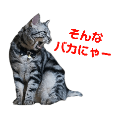 [LINEスタンプ] ぼく、ジーク！ 2 