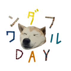 [LINEスタンプ] 癒し犬すみれ＊ワン 