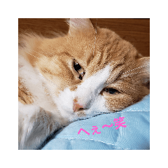 [LINEスタンプ] ぶっさん2
