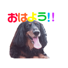 [LINEスタンプ] jack1 