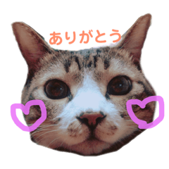 [LINEスタンプ] ふうちゃんの気持ち