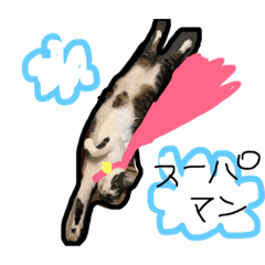 [LINEスタンプ] ちーーーーずくん.