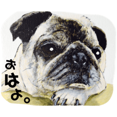 [LINEスタンプ] パグとお友達(アクリル画)挨拶①