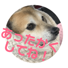 [LINEスタンプ] ナッツスタンプ⑧