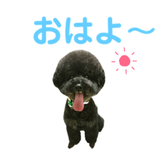 [LINEスタンプ] むく＆きゅうのスタンプ第1弾☆ 