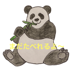 [LINEスタンプ] いやしの色えんぴつスタンプ① 