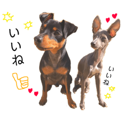 [LINEスタンプ] ginsabu stamp 2 