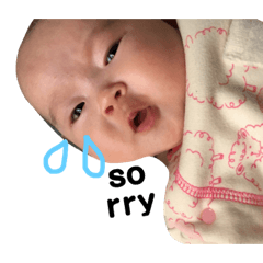 [LINEスタンプ] ぶーちゃんふーちゃん 