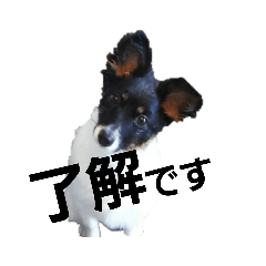 [LINEスタンプ] 音と楽⑤(敬語) 