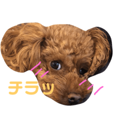 [LINEスタンプ] 石川五右衛門スタンプ2 