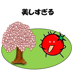 [LINEスタンプ] ほめ言葉-桜、そしてトマト？