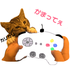 [LINEスタンプ] あんずくんその一 