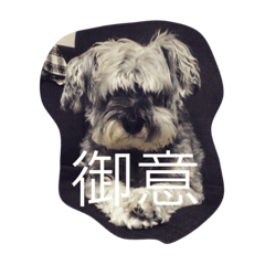 [LINEスタンプ] ゆずたん。 