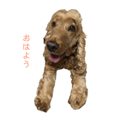 [LINEスタンプ] ビビ君 2 