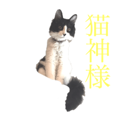 [LINEスタンプ] はちわれ猫 めい