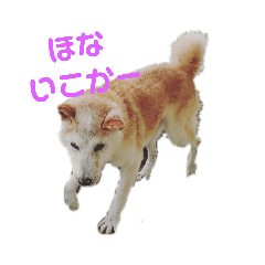 [LINEスタンプ] 秋男と定春 