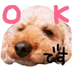 [LINEスタンプ] リロand茶々丸 