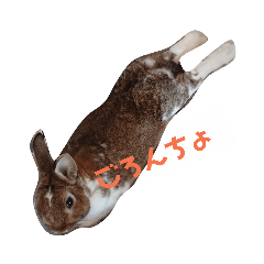 [LINEスタンプ] 池田 ルーク 