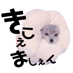 [LINEスタンプ] ふく10歳 