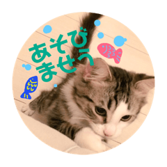 [LINEスタンプ] 日常会話・銀ちゃん 