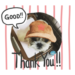 [LINEスタンプ] 愛犬ですよ 