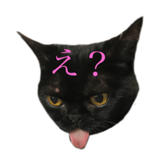 [LINEスタンプ] 黒猫たるみ2 