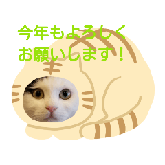 [LINEスタンプ] 干支スタンプ(ながしま限定)