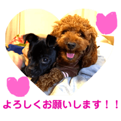 [LINEスタンプ] ホタテとグッチ 