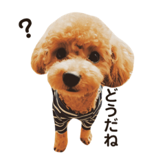 [LINEスタンプ] まもるのつぶやき 
