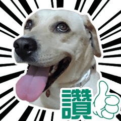 [LINEスタンプ] ミルクティー＆フレンド 