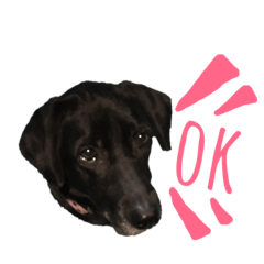 [LINEスタンプ] 黒ラブのエリーちゃん 
