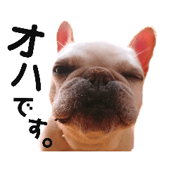 [LINEスタンプ] アルのいる日々～