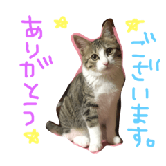 [LINEスタンプ] Rain⑤