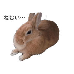 [LINEスタンプ] うさぎのぱん fetchpriority=high