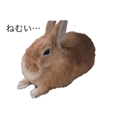 [LINEスタンプ] うさぎのぱん