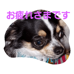 [LINEスタンプ] よんとも