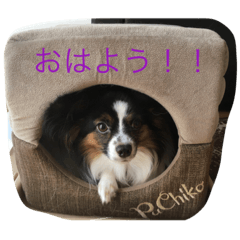 [LINEスタンプ] ここノアチャコ 2