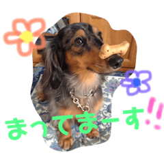 [LINEスタンプ] マロンとトム 